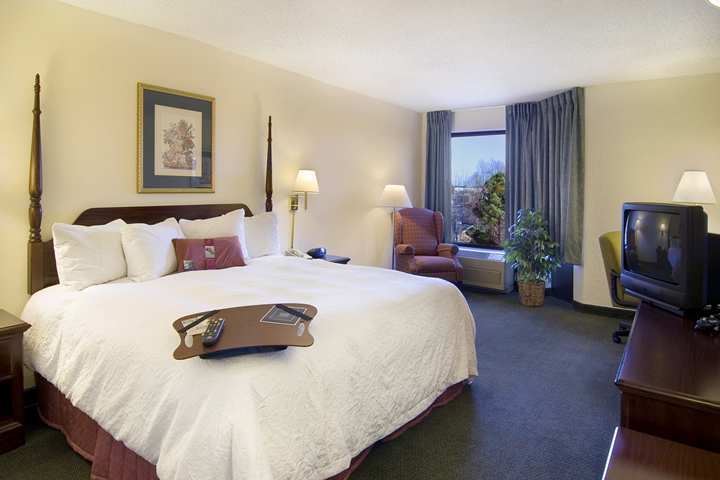 Hampton Inn & Suites Atlanta/Duluth/Gwinnett חדר תמונה